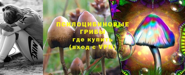 спиды Абаза