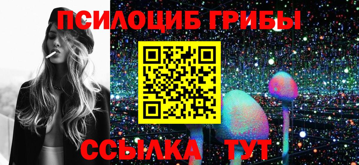 Северодвинск  Псилоцибиновые грибы GOLDEN TEACHER  Вход с VPN 